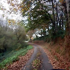 DSCN0600
