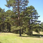P1010119