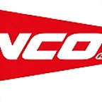 LOGO NINCO 2008 TRIANGLE_mediu