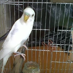 IMG00107-20100924-1550