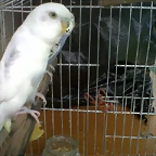 IMG00109-20100924-1552