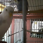 IMG00104-20100924-1548