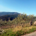 DSCN2500