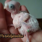 FB_IMG_1498551163793