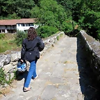 IMG_7533