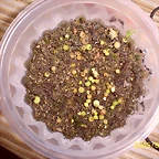 1c