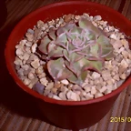 S5037001