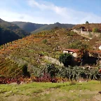 DSCN4625