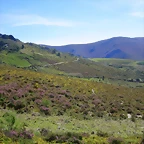 024-Imagen 026