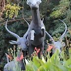 Zoo de Barcelona 12-12-11 465