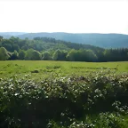 DSCN2078