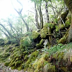DSCN3384