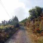 DSCN0090