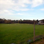 DSCN0601