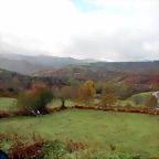 DSCN2690