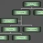 Diagrama organizacin infantera