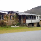 DSCN8955