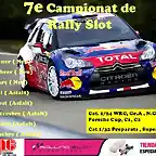 cartell campionat 2011