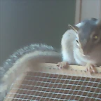 ardi cosita 3 - 10-12