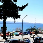 CAS_4101
