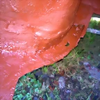 WP_20140926_009