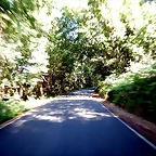 DSCN6718