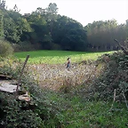 DSCN5261