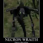 633847059532857690-NecronWraith