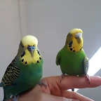 20181008_123443