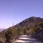 250220121053