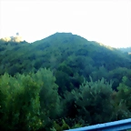 DSCN0684