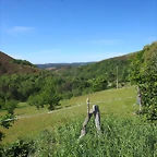 38-IMG_6405