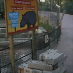 Zoo de Barcelona 24-11-10 532