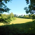 DSCN2345