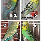 FB_IMG_1538311631638