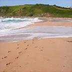 esteiro 015