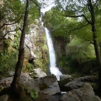 DSCN0490