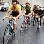 HINAULT,TOUR DE 1979.