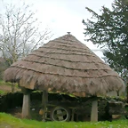 DSCN8414