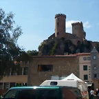 SAM_3461