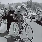 GIMONDI SALVARANI,GIRO 1976