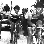 GIRO,1974,MERCKX,GIMONDI