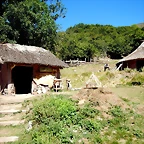 DSCN8385