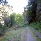 DSCN4697