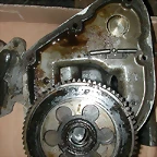 DSCN7787