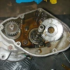 DSCN7785