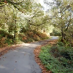 DSCN8442