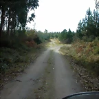 DSCN6424