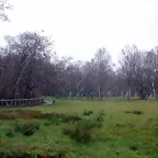 DSCN7452