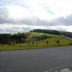 DSCN7162